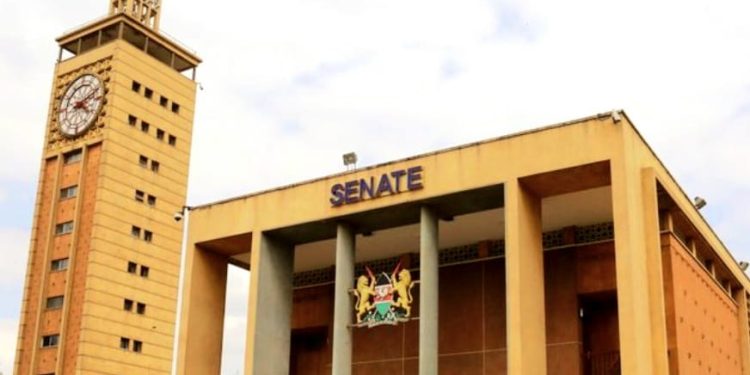 “Nyeri’s Leadership Question: Could Nick Mararo Be the Change Many Are Looking For?”